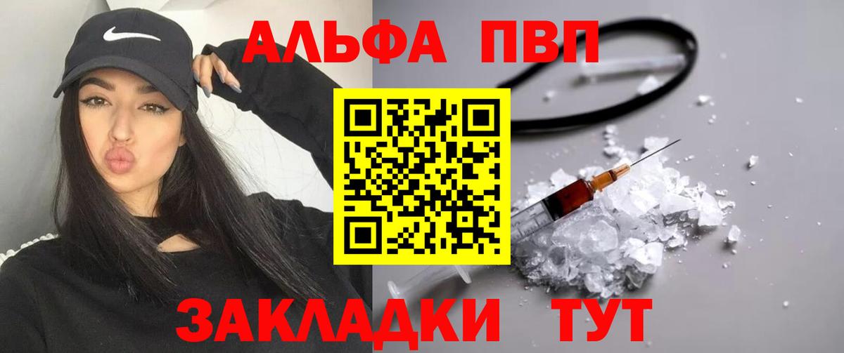 Альфа ПВП СК КРИС Майкоп